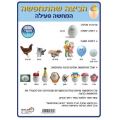המחשה פעילה הביצה שהתחפשה המחשה פעילה הביצה שהתחפשה | חנות מקוונת ALONIT