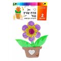 פרח עציץ סול לב נצנץ 11X12 סמ | חנות מקוונת ALONIT