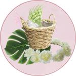 אביזרים לשבועות