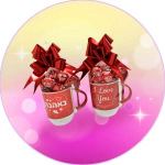 מתנות לגנים