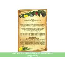 ברכה לסוכה | חנות מקוונת ALONIT