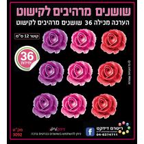 שושנים מרהיבות לקישוט | חנות מקוונת ALONIT