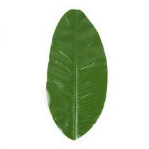 חבילה 3 פלייסמט עלה בננה 48/22 סמ | חנות מקוונת ALONIT