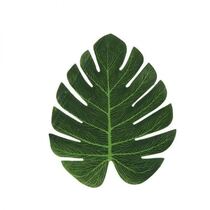 חבילה 6 פלייסמט עלה פילדנדרום 17 20 סמ | חנות מקוונת ALONIT