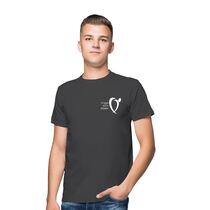 חולצה לבית ספר בנים, фото 