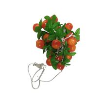 שרשרת אורות תפוחים כתומים, фото 