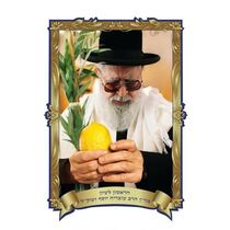 פלקט תלת מיימד 35/50 הרב עובדיה יוסף מחזיק רימון | חנות מקוונת ALONIT