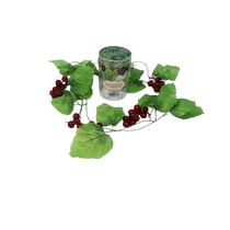 ענבי סיליקון מהודרים בקופסא PVC | חנות מקוונת ALONIT