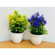 עציץ פרחים פרח פתוח | חנות מקוונת ALONIT