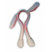 קשת שפנפנה אוזנים זזות | חנות מקוונת ALONIT