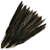 שיבולי חיטה 15 יח שחור | חנות מקוונת ALONIT