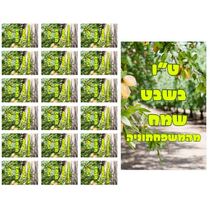 דף מדבקות מיתוג לט"ו בשבט | חנות מקוונת ALONIT