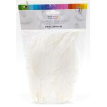 נוצות לבנות 16 סמ 48 יח, фото 