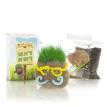 ערכה להכנת ראש דשא | חנות מקוונת ALONIT