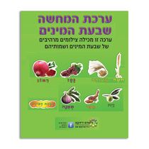 ערכת המחשה שבעת המינים | חנות מקוונת ALONIT