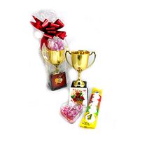 מארז למנצח | חנות מקוונת ALONIT