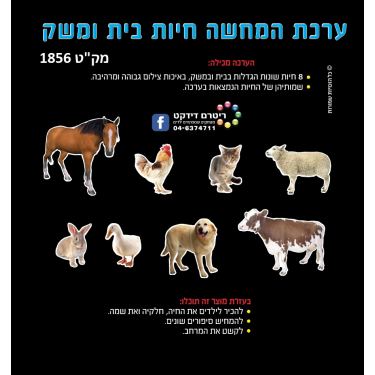 ערכת המחשה חיות בית - מצולם, אופציות: 1 ערכת המחשה חיות בית - מצולם, אופציות: 1 | חנות מקוונת ALONIT