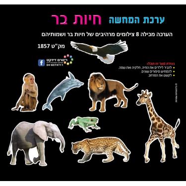 ערכת המחשה חיות בית - מצולם, אופציות: 1 ערכת המחשה חיות בית - מצולם, אופציות: 1 | חנות מקוונת ALONIT