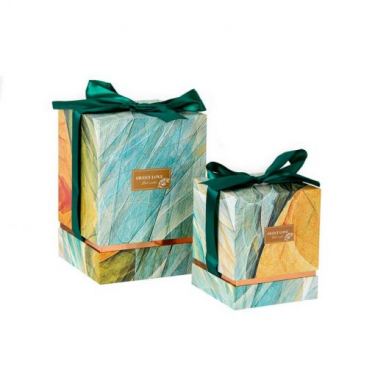 קופסאות קרטון 2 יח סרט ירוק | חנות מקוונת ALONIT