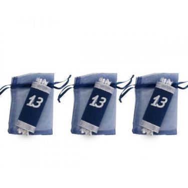 חבילה 3 שקית אורגנזה + ספר תורה 13 - כחול | חנות מקוונת ALONIT