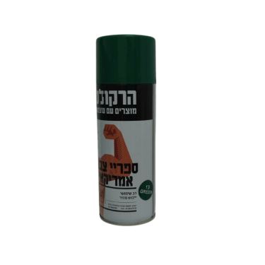 ספריי צבע 400 מל ירוק כהה | חנות מקוונת ALONIT