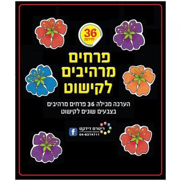 פרחים מרהיבים לקישוט | חנות מקוונת ALONIT