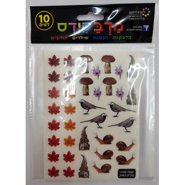 מדבקידס סמלי סתיו צורני | חנות מקוונת ALONIT