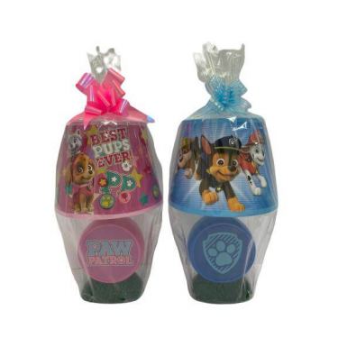 מנורה שולחנית אהיל מפרץ ההרפתאות כחול/ורוד | חנות מקוונת ALONIT