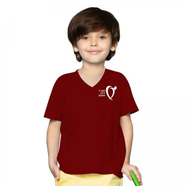 חולצות בית ספר לבית ספר צווארון V בנים | חנות מקוונת ALONIT