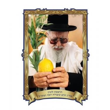 פלקט תלת מיימד 35/50 הרב עובדיה יוסף מחזיק רימון | חנות מקוונת ALONIT