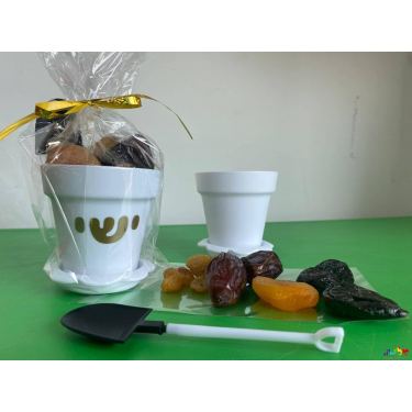 מארז ט"ו בשבט - אדנית ופירות יבשים | חנות מקוונת ALONIT