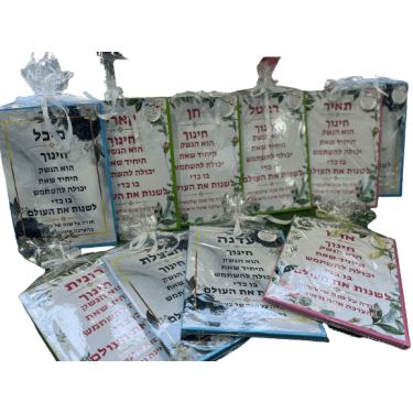 מחברת ממותגת A4 | חנות מקוונת ALONIT