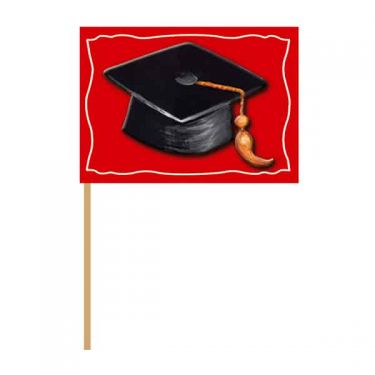 קיסם סיום לימודים רקע אדום 50 יח' | חנות מקוונת ALONIT