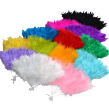 מניפת נוצות מעורב צבעים | חנות מקוונת ALONIT