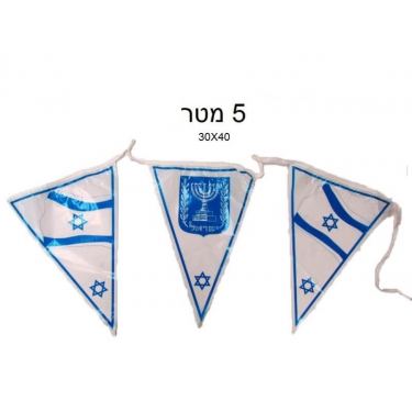 שרשרת 5 מטר משולש ישראל | חנות מקוונת ALONIT