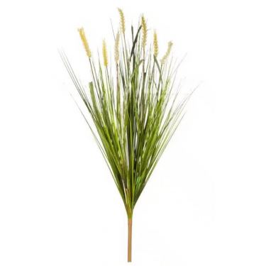 שיח חיטה 7X ג.73 ס"מ | חנות מקוונת ALONIT