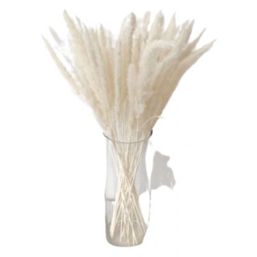 שיבולי חיטה 15 יח לבן | חנות מקוונת ALONIT