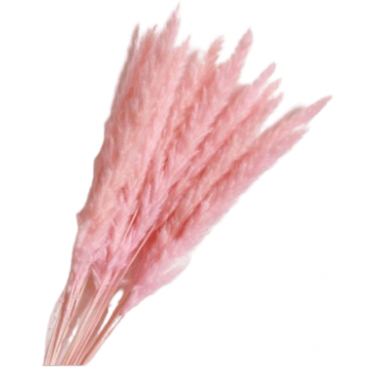 שיבולי חיטה 15 יח ורוד בייבי | חנות מקוונת ALONIT