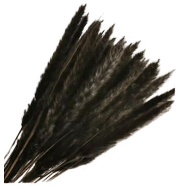 שיבולי חיטה 15 יח שחור | חנות מקוונת ALONIT