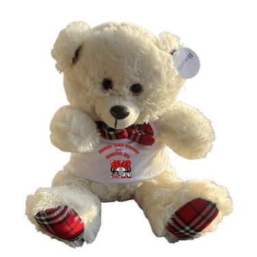 דובי חיבוקי 30 ס"מ למיתוג אישי | חנות מקוונת ALONIT