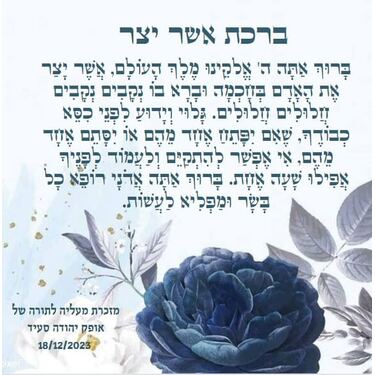 מזכרת לבר מצווה - במיתוג אישי | חנות מקוונת ALONIT