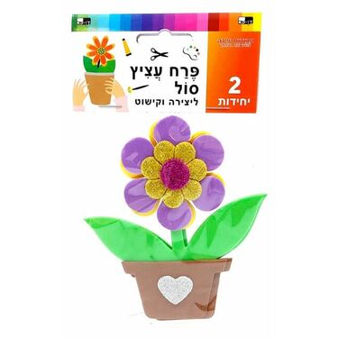 פרח עציץ סול לב נצנץ 11X12 סמ | חנות מקוונת ALONIT