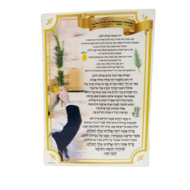 קישוט לסוכה סדר נטילת לולב תלת מימד 34X24 סמ | חנות מקוונת ALONIT