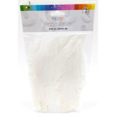 נוצות לבנות 16 סמ 48 יח | חנות מקוונת ALONIT