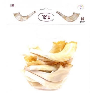 שופר טבעי 12 סמ 10 יח | חנות מקוונת ALONIT