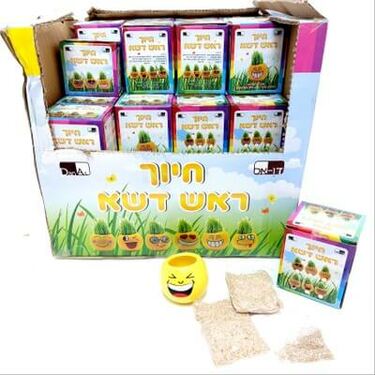 חייכן ראש דשא קרמי להרכבה עצמית | חנות מקוונת ALONIT