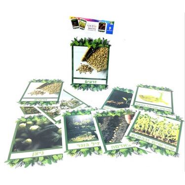 כרטיסיות חיי הצמחים 23.5X16.5 סמ | חנות מקוונת ALONIT