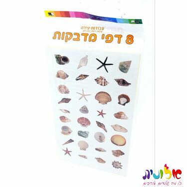 8 דף מדבקות צדפות 24.5X15 סמ | חנות מקוונת ALONIT