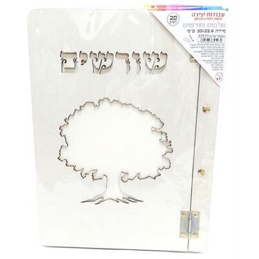 אלבום שורשים עץ + 20 דף 30X22.5 סמ | חנות מקוונת ALONIT
