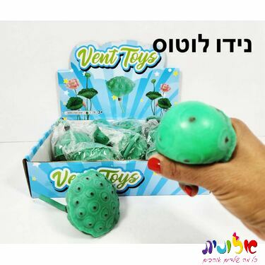סקוויזי סקוושי פרי הלוטוס צבע ירוק | חנות מקוונת ALONIT
